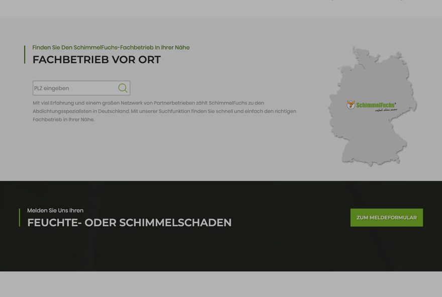 Website von SchimmelFuchs Sanierung